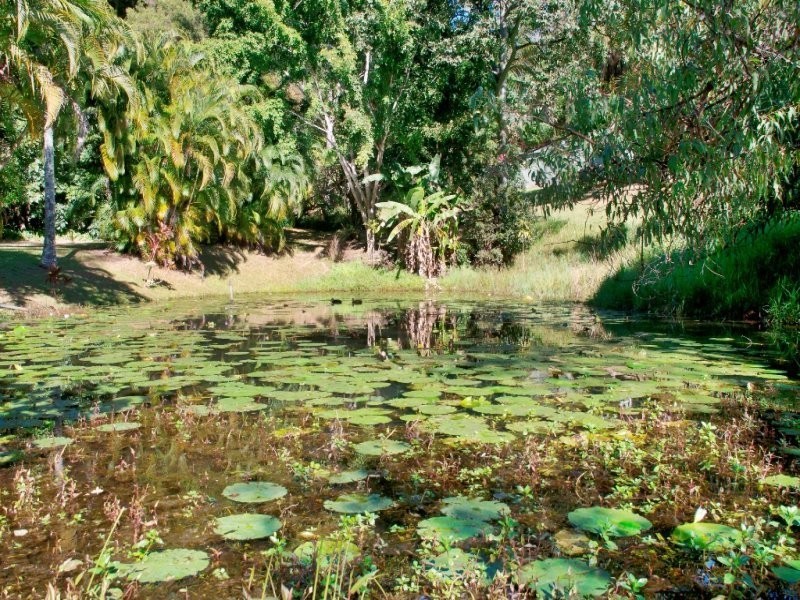 3 Woodchester Close, Rosemount QLD 4560