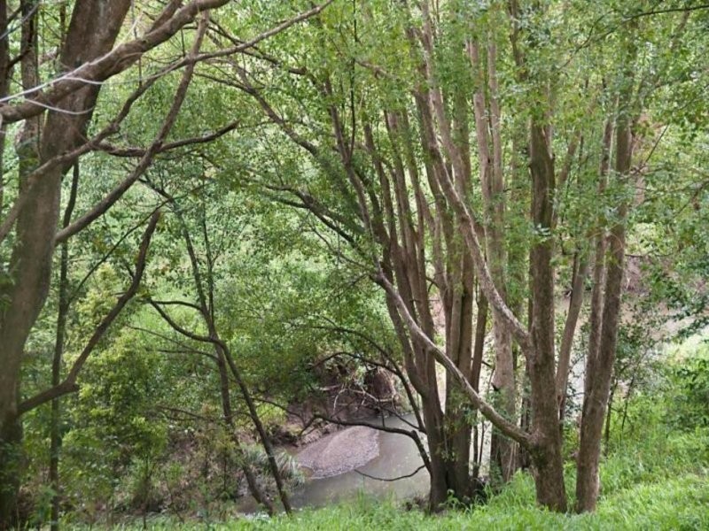 139 Perwillowen Road, Nambour QLD 4560