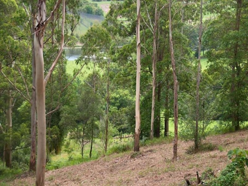 139 Perwillowen Road, Nambour QLD 4560