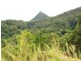 268 Gold Creek Road, North Arm QLD 4561