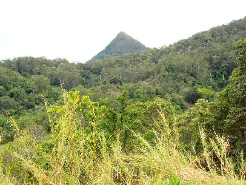 268 Gold Creek Road, North Arm QLD 4561