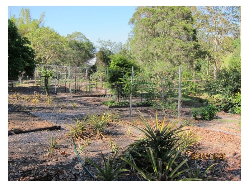 56 Pringle Road, Rosemount QLD 4560