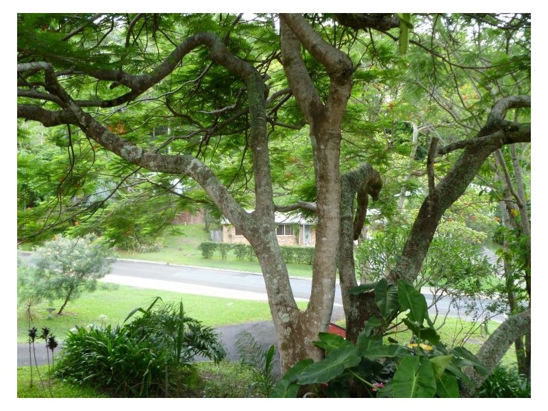 23 Bartlet Street, Nambour QLD 4560