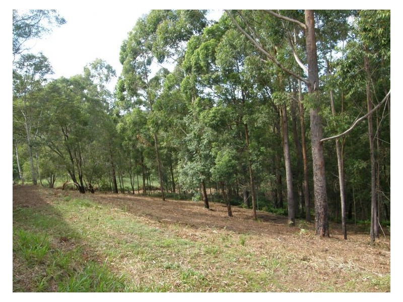 232 Ilkley Road, Ilkley QLD 4554