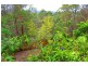 232 Kiel Mountain Road, Kiels Mountain QLD 4559