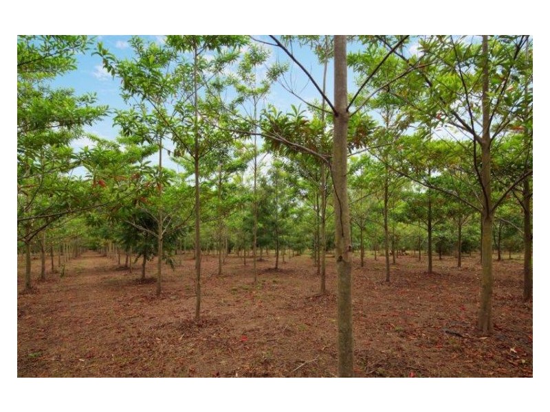 58 Collins Road, Yandina QLD 4561