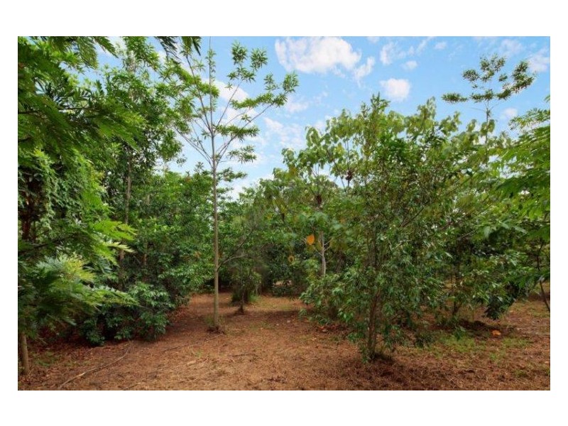 58 Collins Road, Yandina QLD 4561