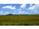 919 Yandina Coolum Road, Yandina QLD 4561