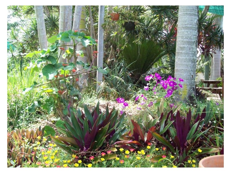 103 Eudlo Flats Road, Diddillibah QLD 4559