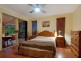 19 Petigrain Avenue, Palmwoods QLD 4555