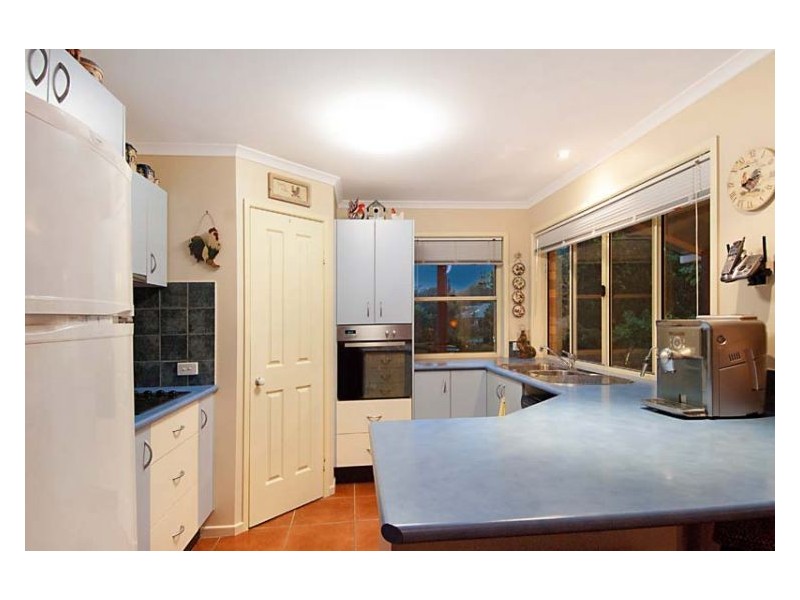 19 Petigrain Avenue, Palmwoods QLD 4555
