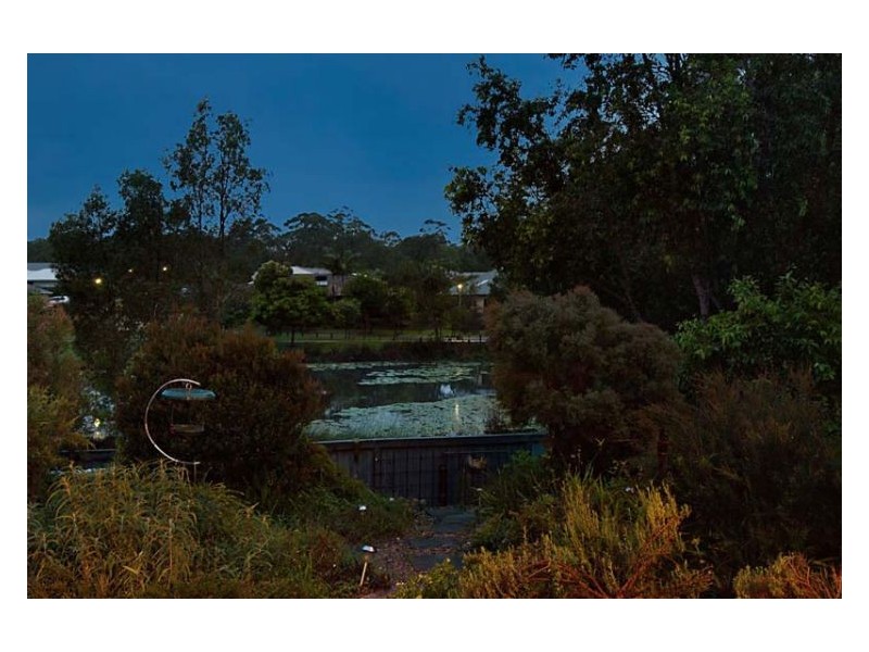 19 Petigrain Avenue, Palmwoods QLD 4555