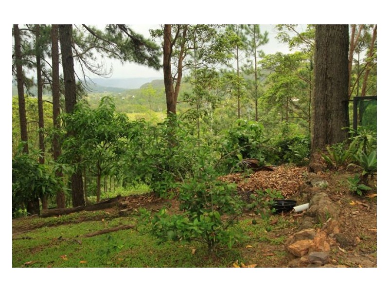 34-50 Camp Flat Road, Bli Bli QLD 4560
