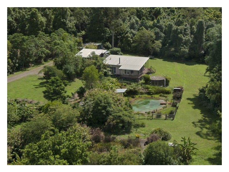 31 Bamboo Road, Palmwoods QLD 4555