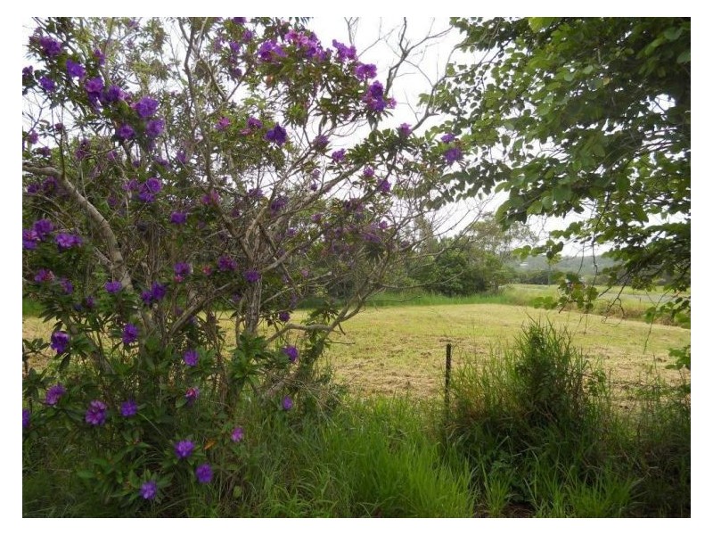 438 Petrie Creek Road, Rosemount QLD 4560