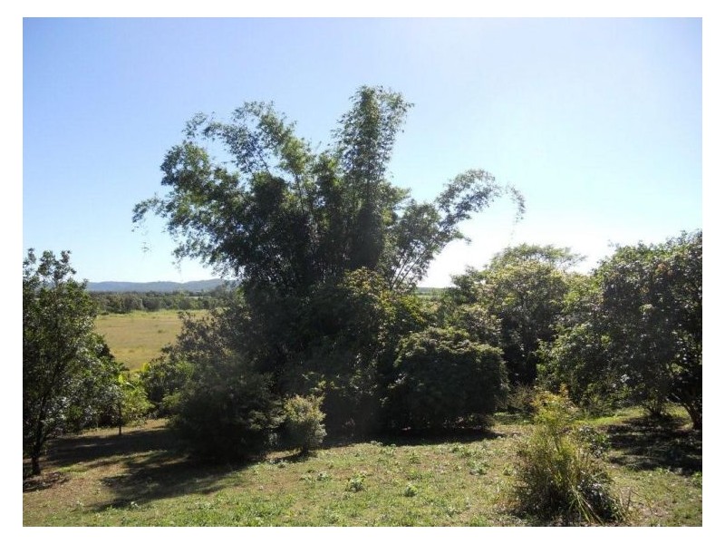 639 Yandina Bli Bli Road, Maroochy River QLD 4561