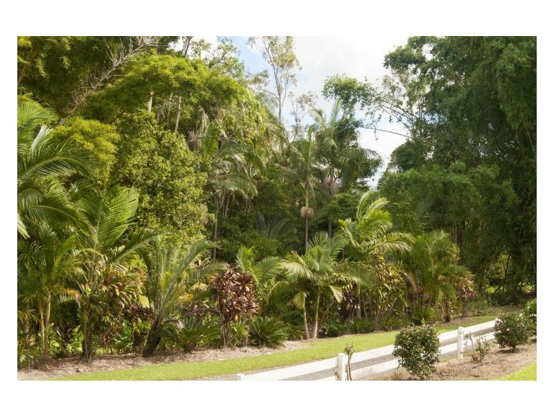 Palmwoods QLD 4555