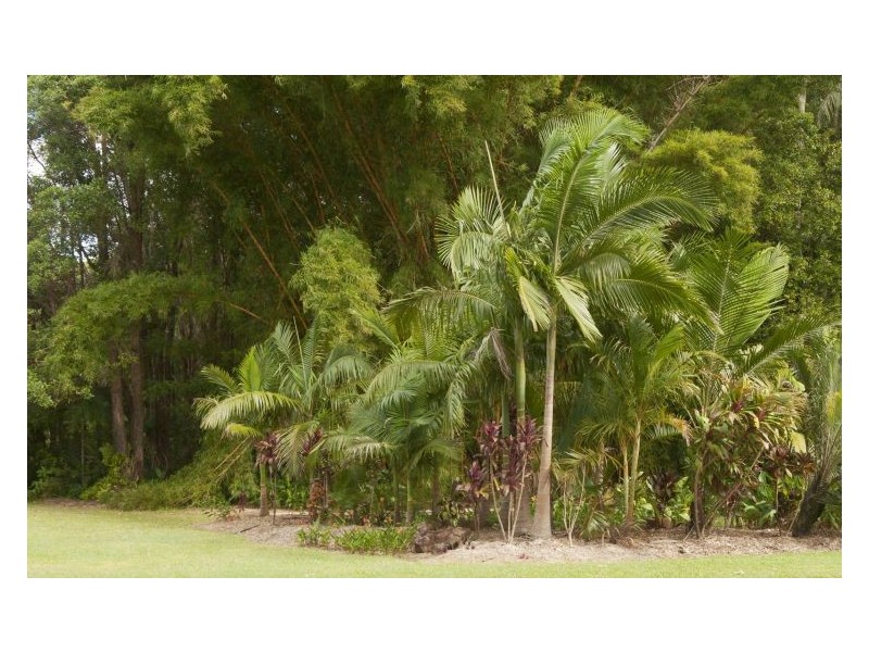 Palmwoods QLD 4555