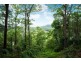 206 Burnside Road, Nambour QLD 4560