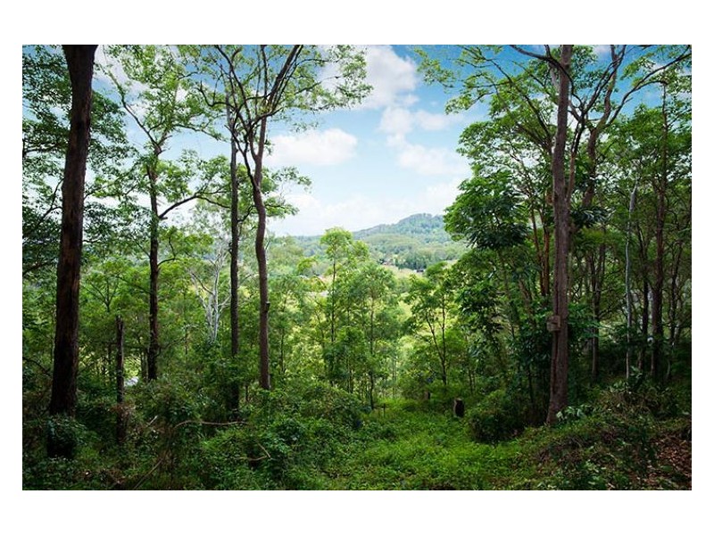 206 Burnside Road, Nambour QLD 4560