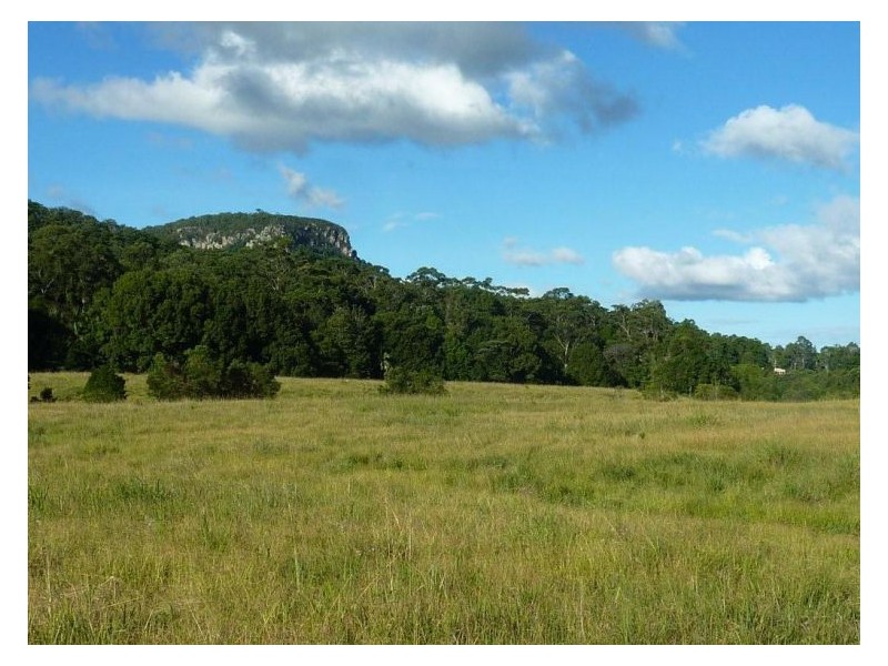 186 Collins Road, Ninderry QLD 4561