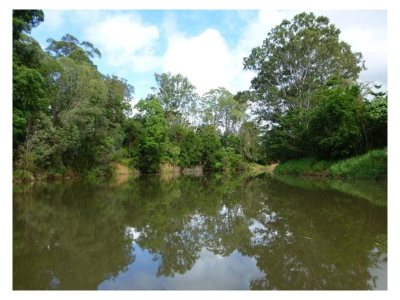 186 Collins Road, Ninderry QLD 4561