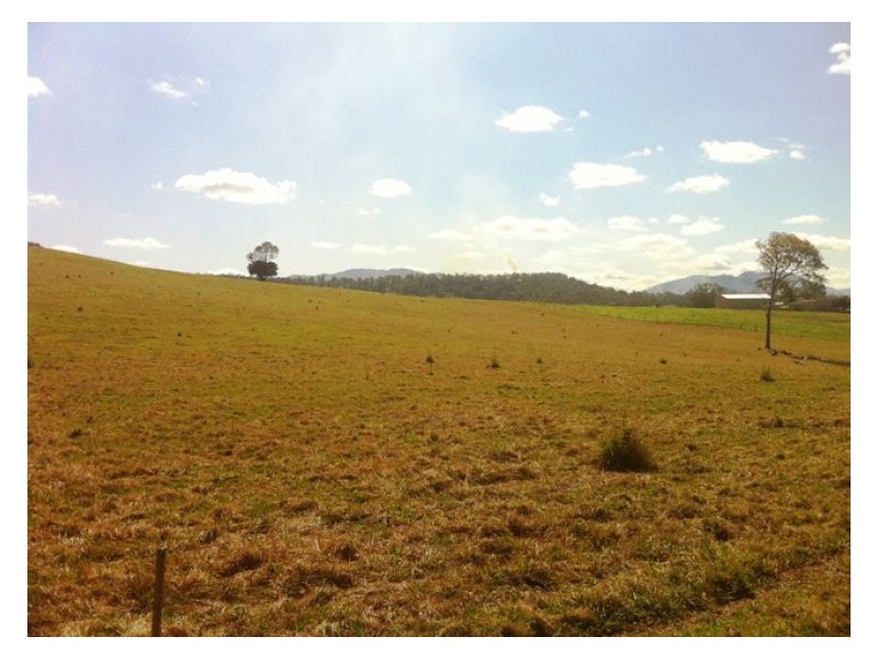 3625 Maleny Kenilworth Rd, Kenilworth QLD 4574