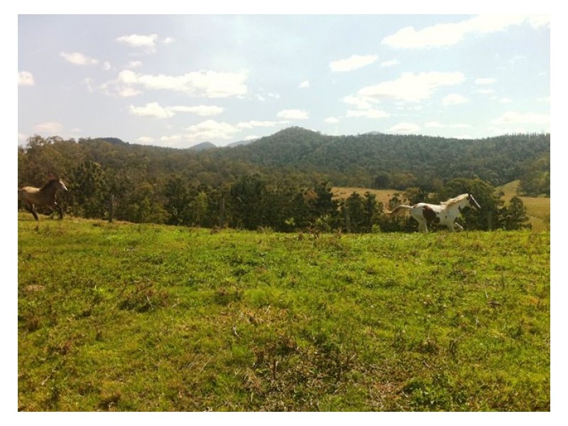 3625 Maleny Kenilworth Rd, Kenilworth QLD 4574