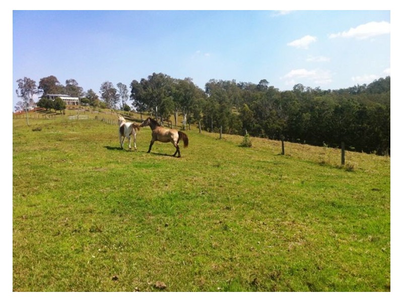 3625 Maleny Kenilworth Rd, Kenilworth QLD 4574