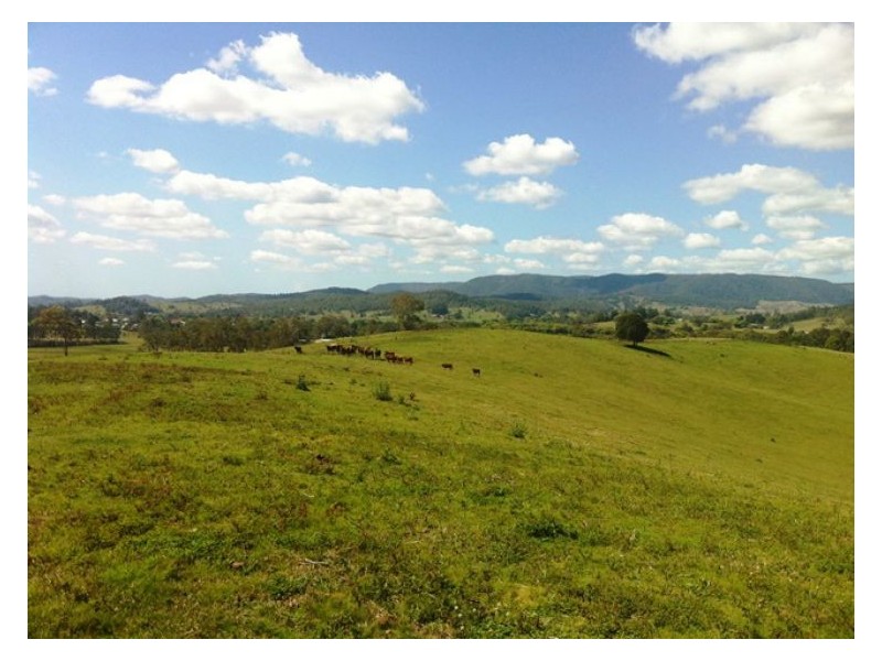 3625 Maleny Kenilworth Rd, Kenilworth QLD 4574