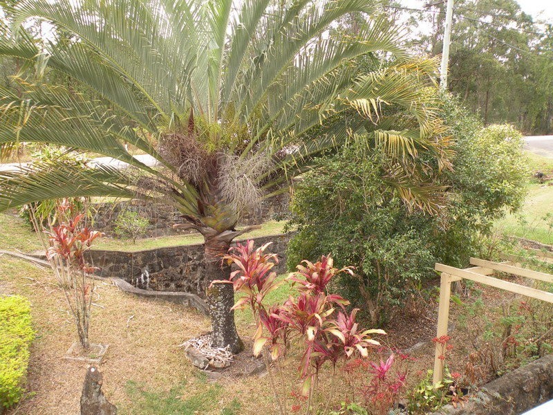 1241 Nambour Connection Road, Kulangoor QLD 4560