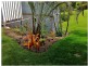 51 Jewett Road, Kureelpa QLD 4560