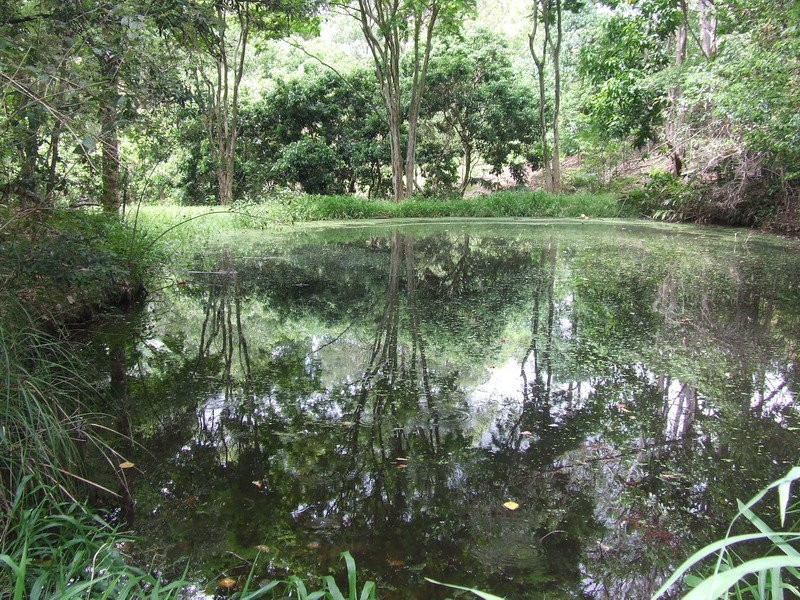 399 Perwillowen Road, Perwillowen QLD 4560