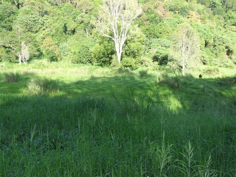399 Perwillowen Road, Perwillowen QLD 4560