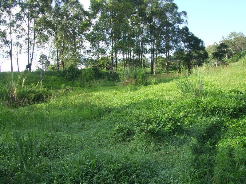 399 Perwillowen Road, Perwillowen QLD 4560