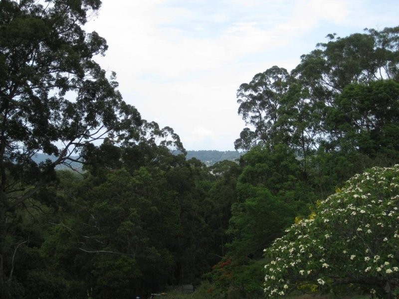 399 Perwillowen Road, Perwillowen QLD 4560