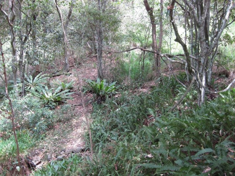 399 Perwillowen Road, Perwillowen QLD 4560