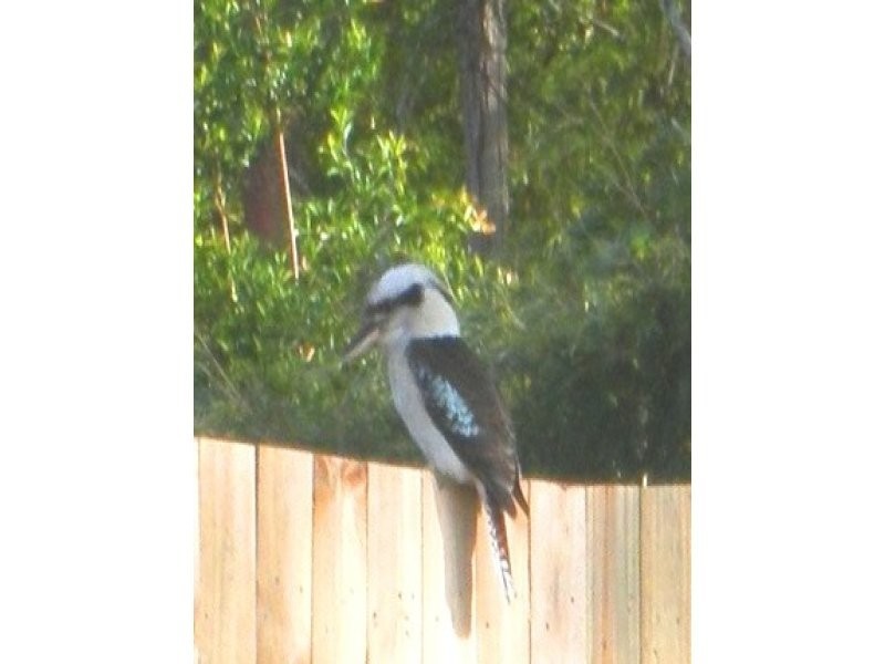 16 Tuckers Creek Drive, Nambour QLD 4560