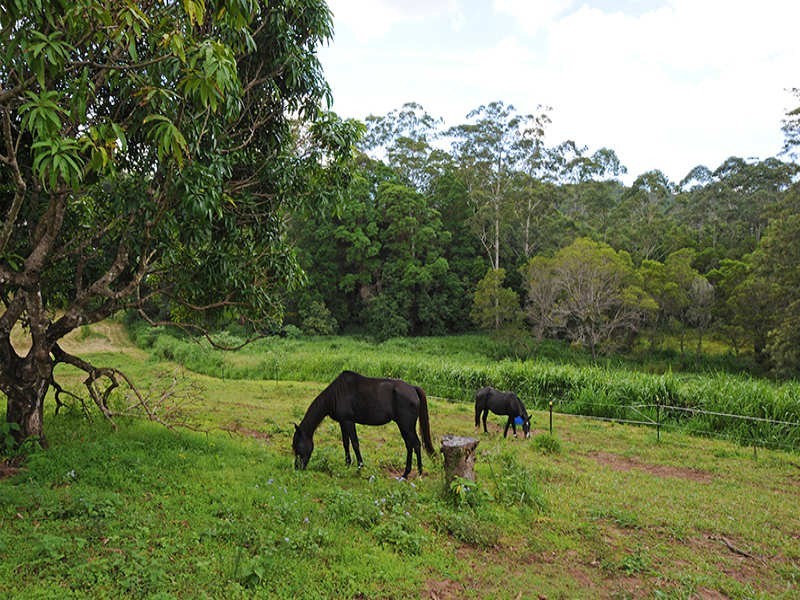 208A Panorama Drive, Rosemount QLD 4560