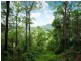 206 Burnside Road, Nambour QLD 4560