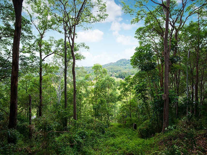 206 Burnside Road, Nambour QLD 4560