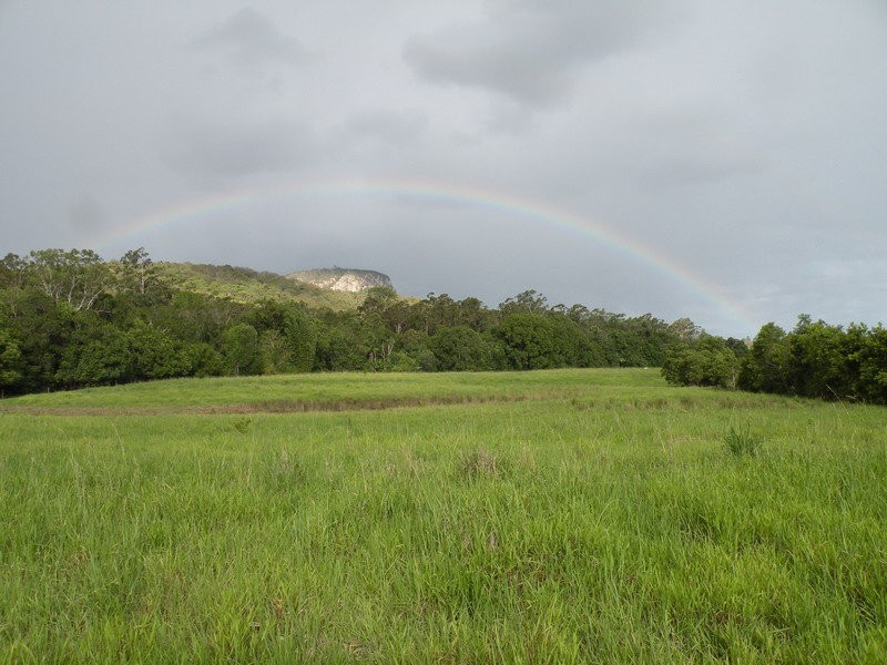 186 Collins Road, Ninderry QLD 4561