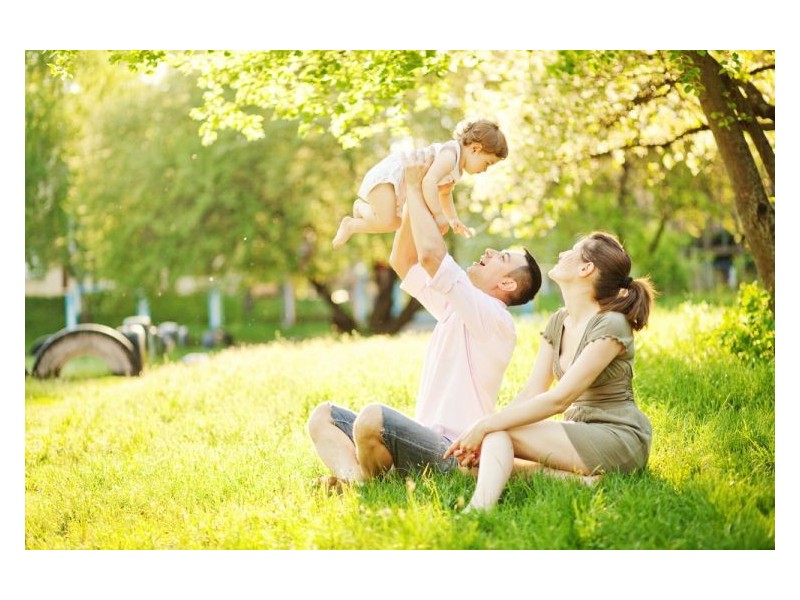 73 Petigrain Avenue, Palmwoods QLD 4555