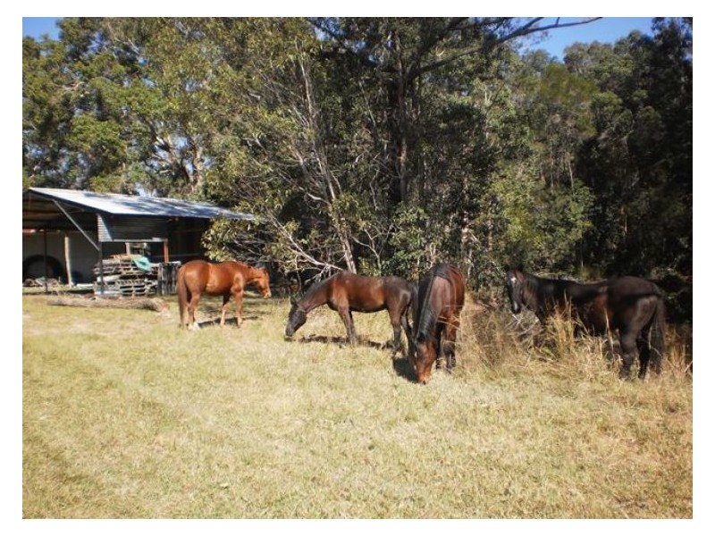 60-77 Oakey Creek Road, Gheerulla QLD 4574
