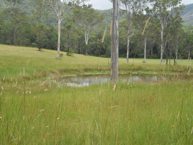 60-77 Oakey Creek Road, Gheerulla QLD 4574