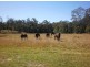 60-77 Oakey Creek Road, Gheerulla QLD 4574