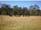 60-77 Oakey Creek Road, Gheerulla QLD 4574