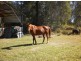 60-77 Oakey Creek Road, Gheerulla QLD 4574