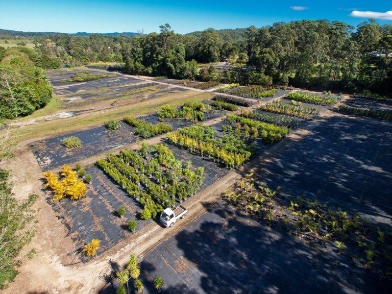 13 Eudlo Flats Road, Diddillibah QLD 4559