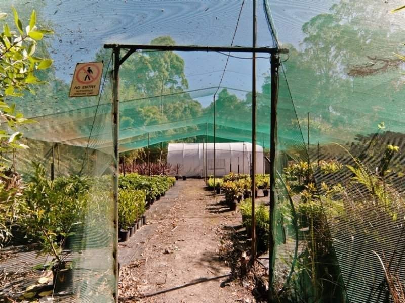 13 Eudlo Flats Road, Diddillibah QLD 4559